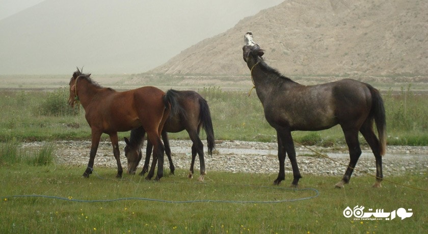  دشت لار  شهرستان مازندران استان آمل