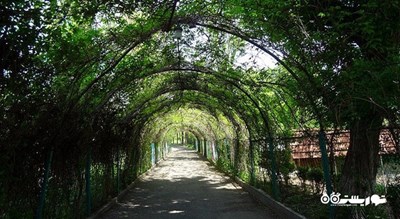 باغ گیاه شناسی ایروان -  شهر ایروان