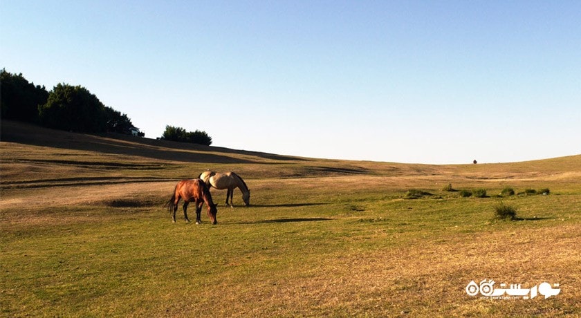 دریاچه سوها -  شهر اردبیل