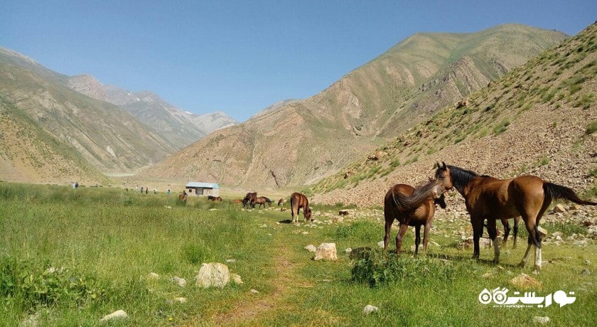  آبشار و دشت دریوک شهرستان مازندران استان آمل