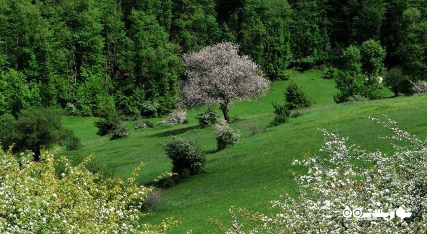 ییلاق سی دشت -  شهر گیلان