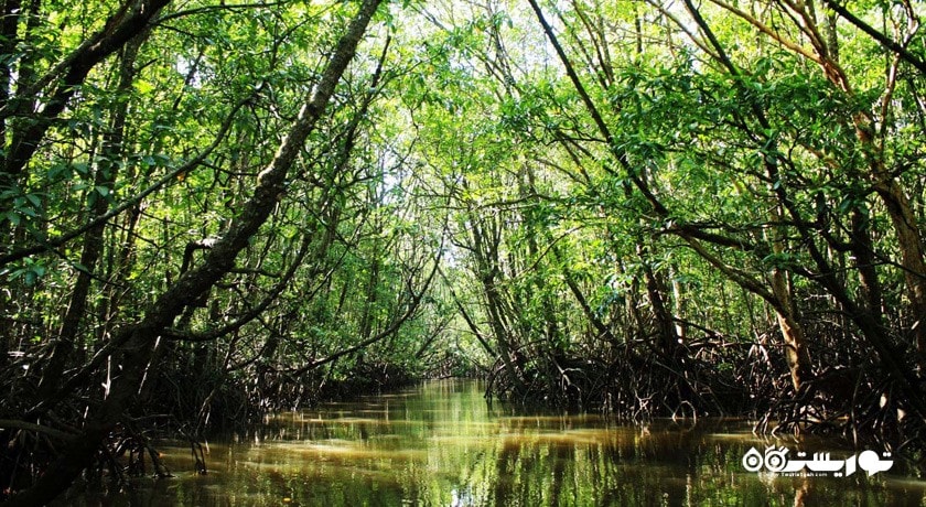 سرگرمی پارک ملی دریایی سیرینات شهر تایلند کشور پوکت