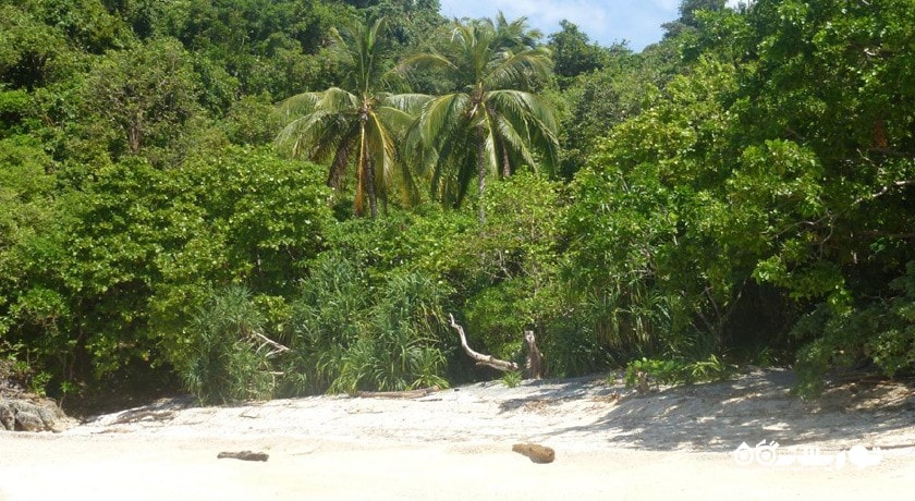 سرگرمی پارک ملی دریایی سیرینات شهر تایلند کشور پوکت