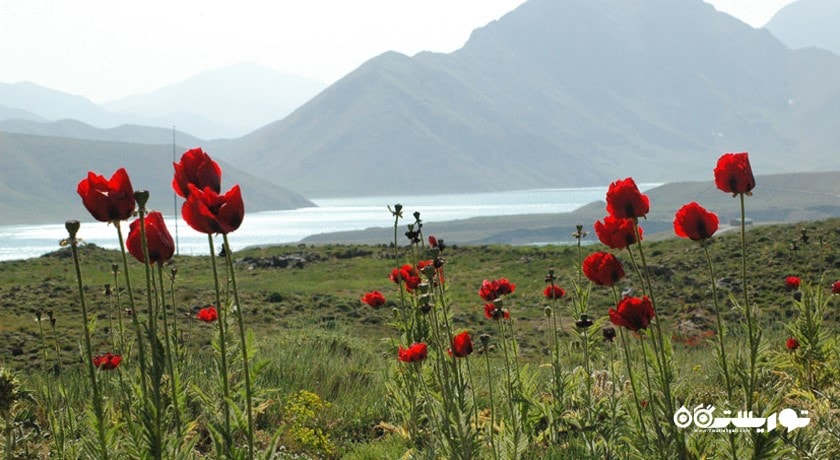  سد لار شهرستان مازندران استان آمل