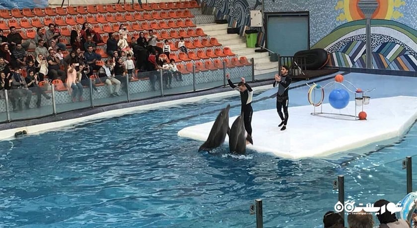 پارک دلفین کیش -  شهر کیش