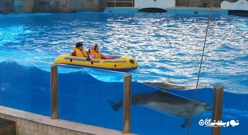 پارک دلفین کیش -  شهر هرمزگان