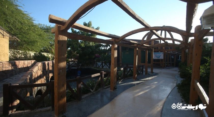 رستوران رستوران ساحلی شاندیز صفدری کیش شهر کیش 