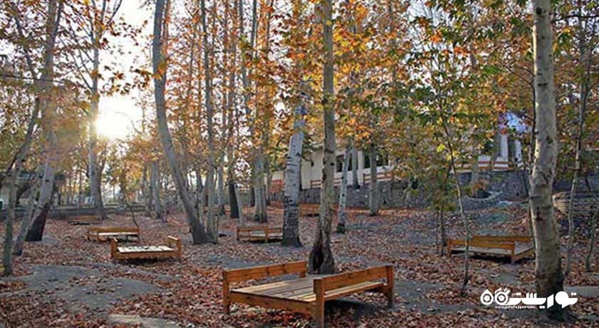 پارک جنگلی وکیل آباد  -  شهر خراسان رضوی