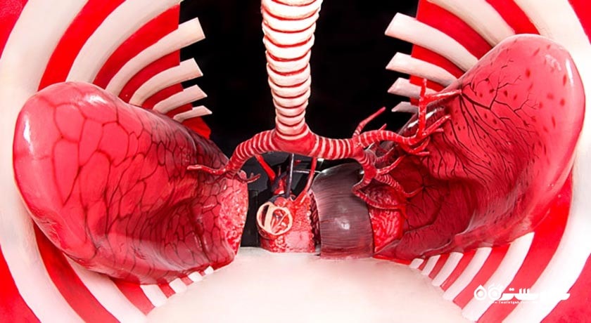  پارک علمی پروفسور بازیما شهر خراسان رضوی استان مشهد