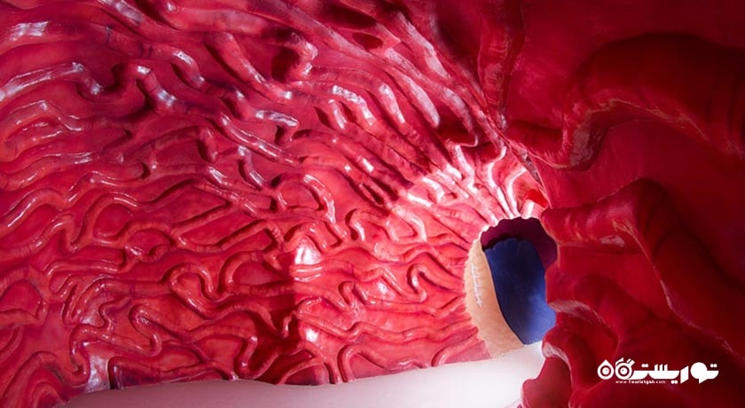  پارک علمی پروفسور بازیما شهر خراسان رضوی استان مشهد