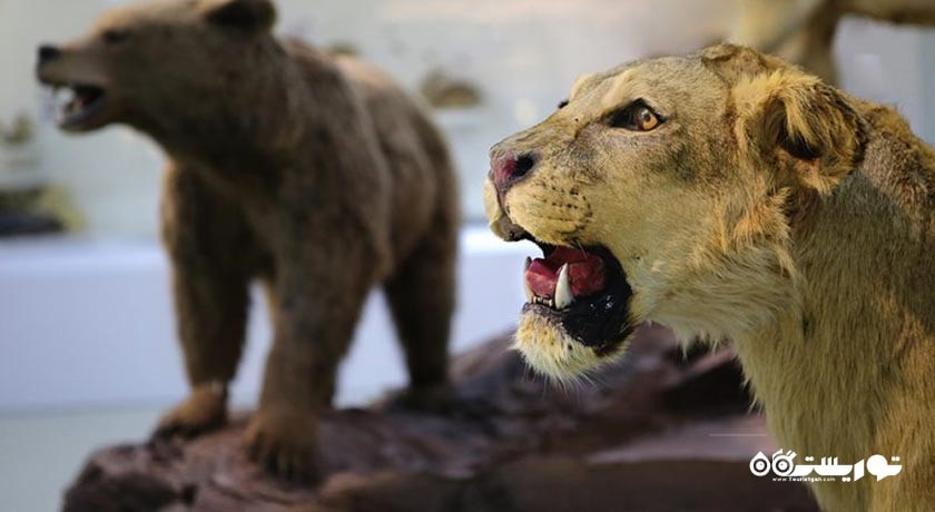  پارک علمی پروفسور بازیما شهر خراسان رضوی استان مشهد