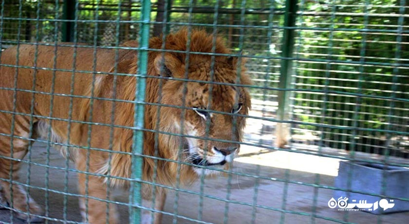 باغ وحش وکیل آباد -  شهر مشهد