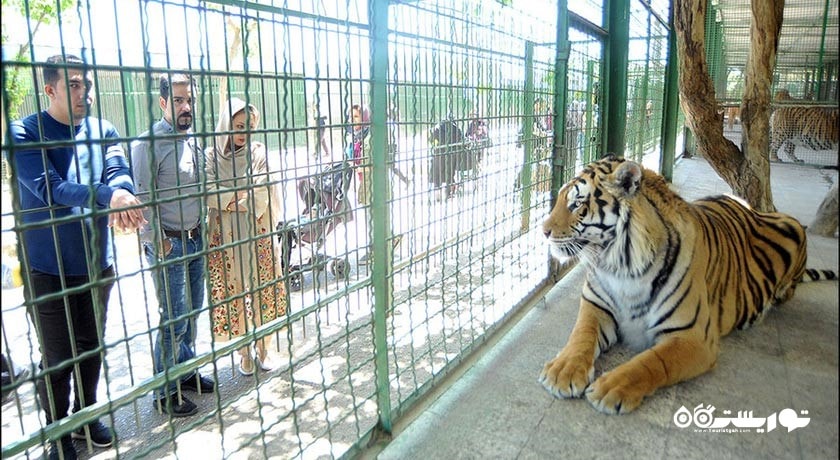 باغ وحش وکیل آباد -  شهر مشهد