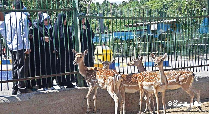 باغ وحش وکیل آباد -  شهر مشهد