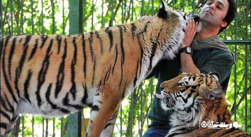  باغ وحش وکیل آباد شهر خراسان رضوی استان مشهد