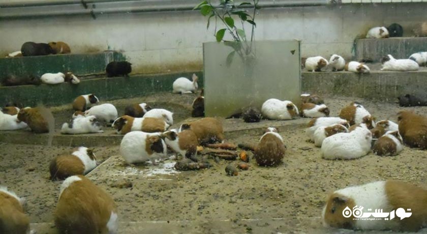 باغ وحش وکیل آباد -  شهر مشهد