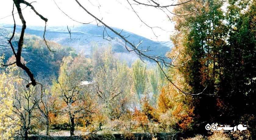 شاندیز -  شهر شاندیز