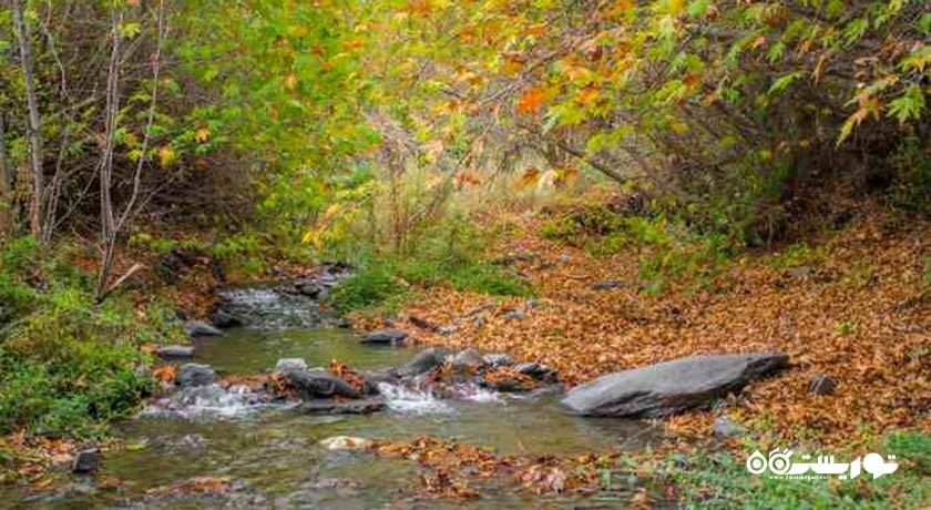 روستای جاغرق -  شهر طرقبه