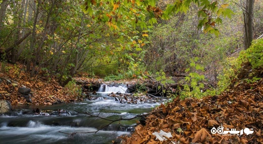 روستای جاغرق -  شهر خراسان رضوی