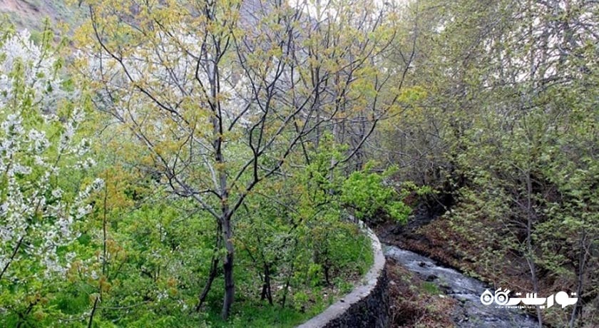 روستای نغندر -  شهر خراسان رضوی