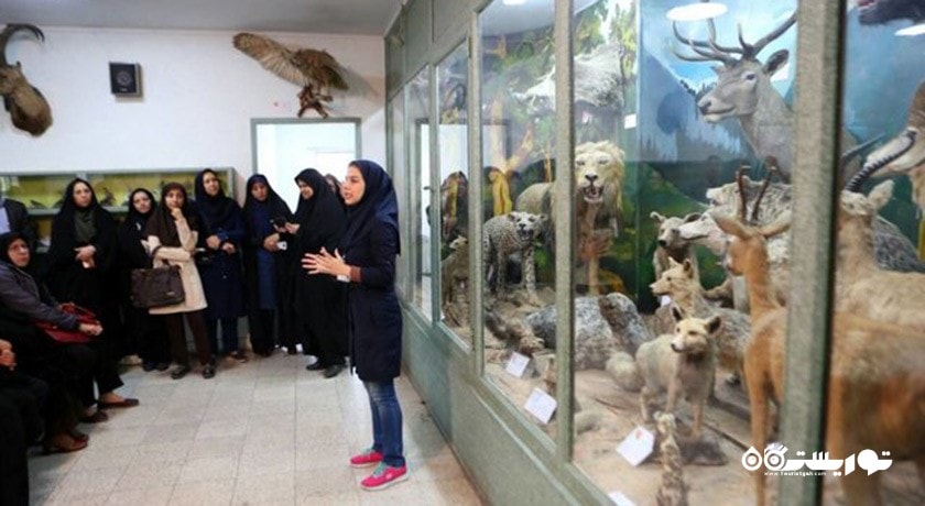  موزه علوم و تاریخ طبیعی خراسان شهرستان خراسان رضوی استان مشهد