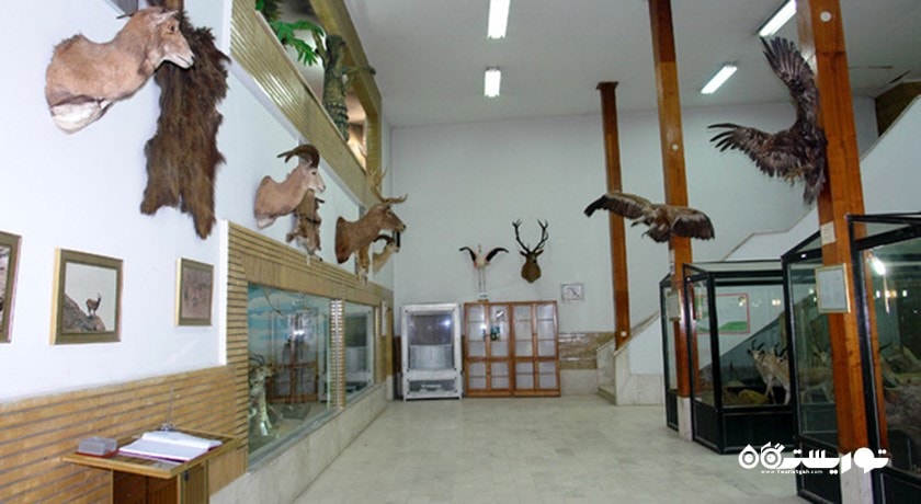  موزه علوم و تاریخ طبیعی خراسان شهرستان خراسان رضوی استان مشهد