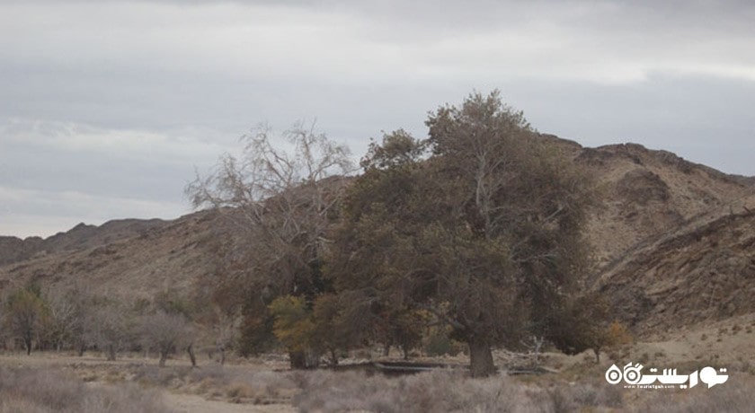  پارک ملی توران (خارتوران) شهرستان سمنان استان شاهرود	