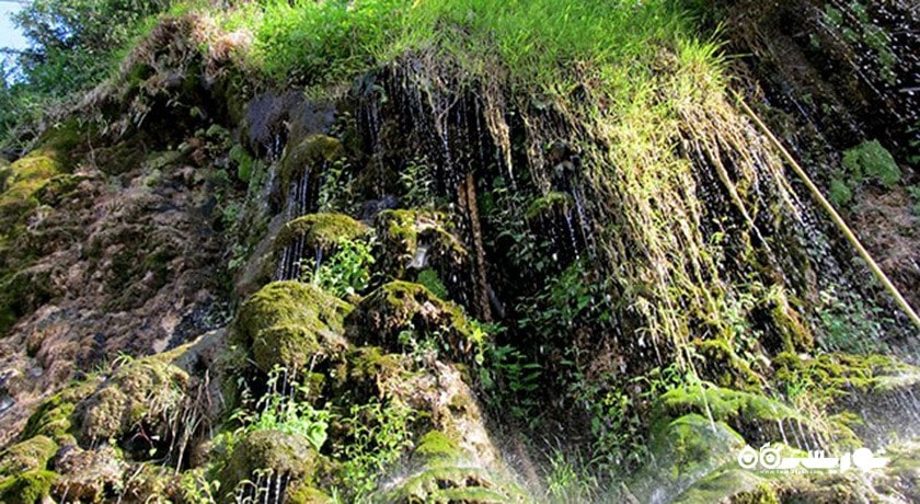 موزه گیاهان دارویی کندلوس -  شهر نوشهر