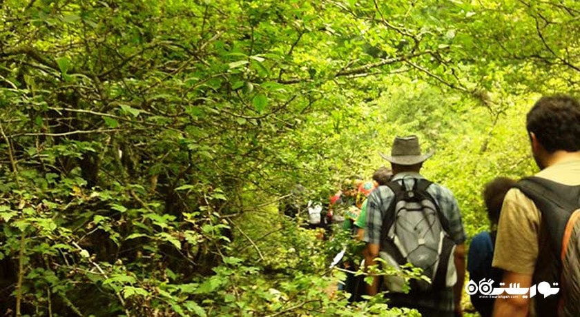 چشمه پراو -  شهر پل سفید