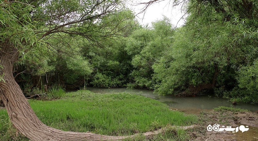 رودخانه شاوور -  شهر خوزستان