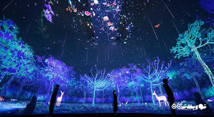  موزه ملی سنگاپور شهر سنگاپور کشور سنگاپور