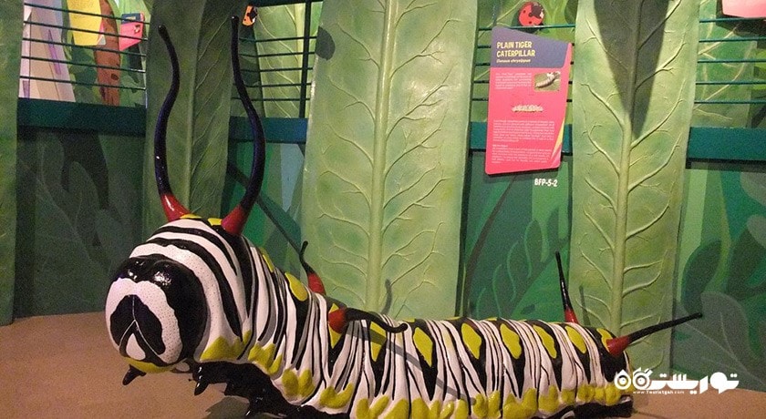  مرکز علم سنگاپور شهر سنگاپور کشور سنگاپور