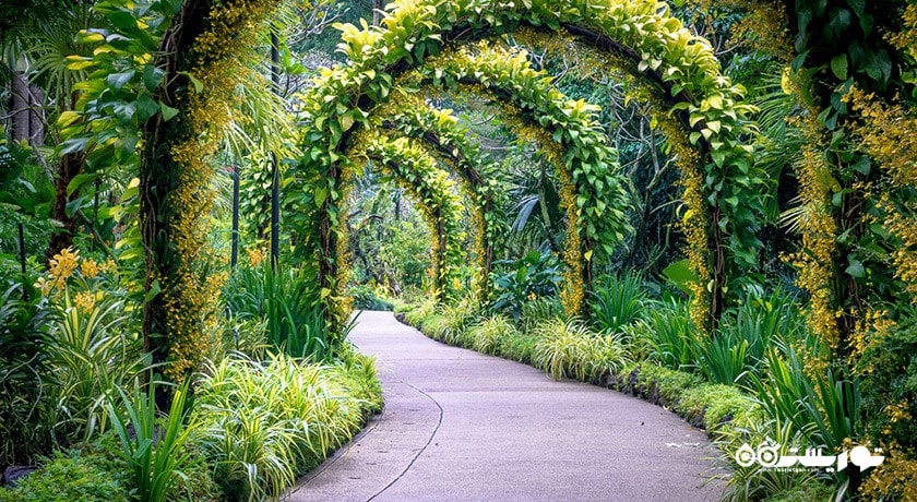 باغ های گیاه شناسی سنگاپور -  شهر سنگاپور