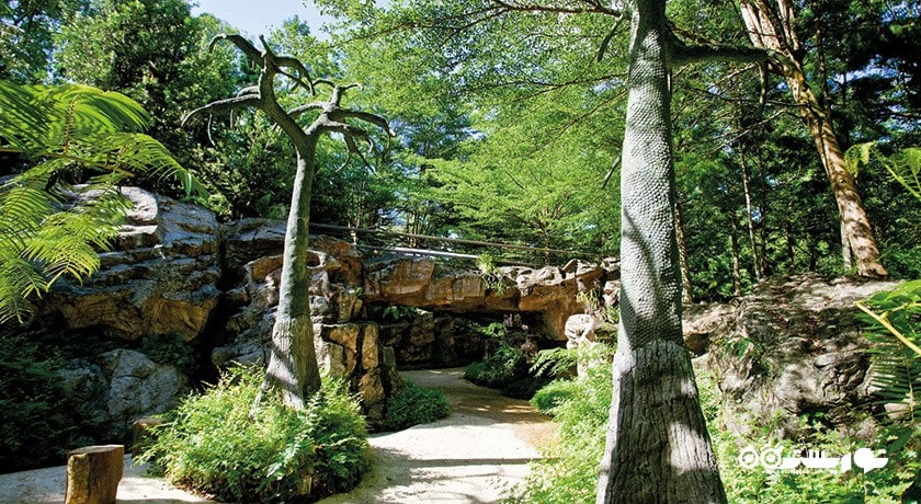 باغ های گیاه شناسی سنگاپور -  شهر سنگاپور