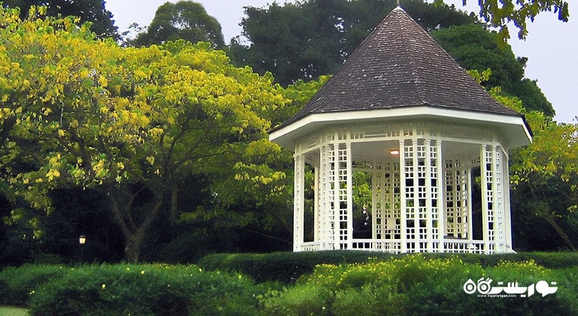 سرگرمی باغ های گیاه شناسی سنگاپور شهر سنگاپور کشور سنگاپور