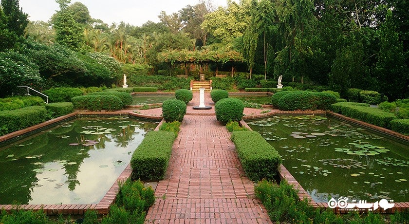 سرگرمی باغ های گیاه شناسی سنگاپور شهر سنگاپور کشور سنگاپور