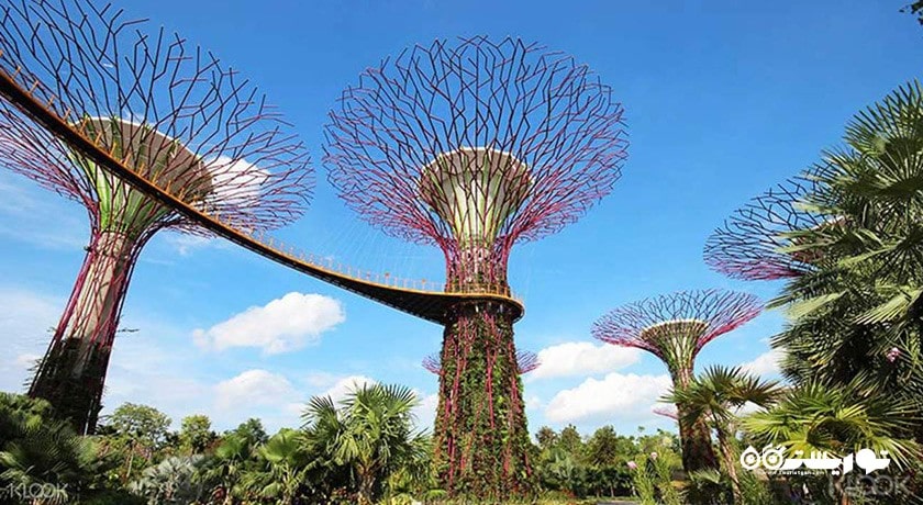 سرگرمی باغ های خلیج سنگاپور شهر سنگاپور کشور سنگاپور