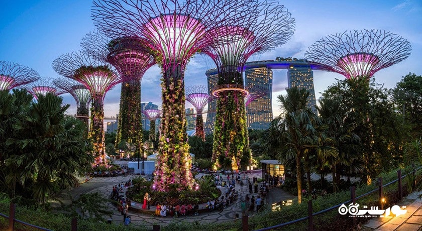 سرگرمی باغ های خلیج سنگاپور شهر سنگاپور کشور سنگاپور