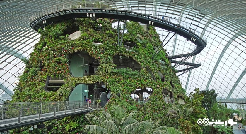 باغ های خلیج سنگاپور -  شهر سنگاپور