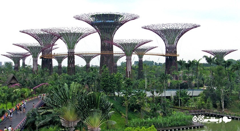 سرگرمی باغ های خلیج سنگاپور شهر سنگاپور کشور سنگاپور