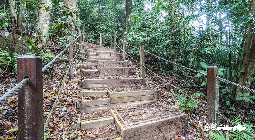 سرگرمی منطقه حفاظت شده بوکیت تیماه شهر سنگاپور کشور سنگاپور