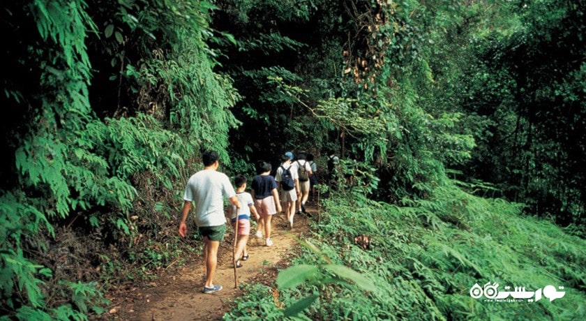 سرگرمی منطقه حفاظت شده بوکیت تیماه شهر سنگاپور کشور سنگاپور