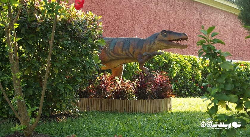 سرگرمی باغ چینی و باغ ژاپنی سنگاپور شهر سنگاپور کشور سنگاپور