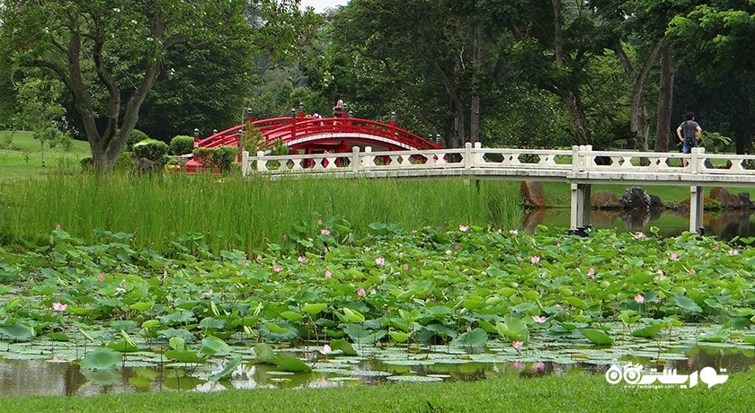 باغ چینی و باغ ژاپنی سنگاپور -  شهر سنگاپور