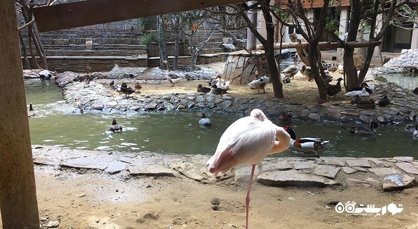  موزه طبیعت و حیات وحش دارآباد شهرستان تهران استان تهران