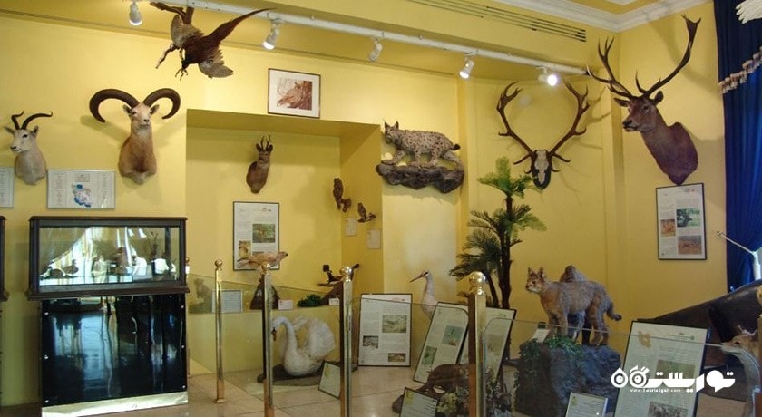  موزه طبیعت و حیات وحش دارآباد شهرستان تهران استان تهران