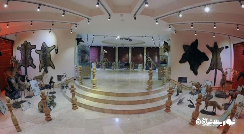  موزه طبیعت و حیات وحش دارآباد شهرستان تهران استان تهران