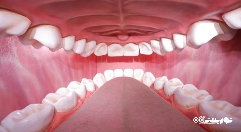  هیومن پارک شهرستان تهران استان تهران