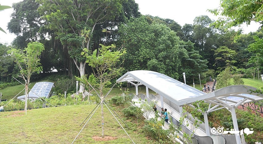 سرگرمی فورت کانینگ پارک شهر سنگاپور کشور سنگاپور