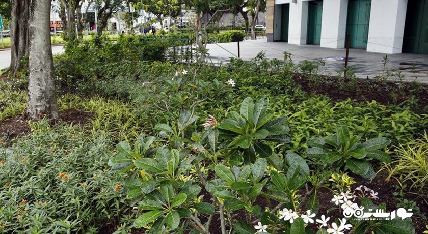 فورت کانینگ پارک -  شهر سنگاپور